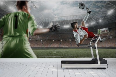 Fototapeta Strzał z przewrotki