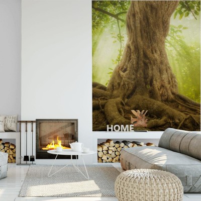 Fototapeta Wielkie korzenie drzew i promień słońca w zielonym lesie