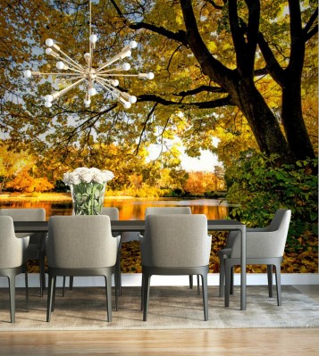 Fototapeta Złota jesień ze spokojnym jeziorem w parku