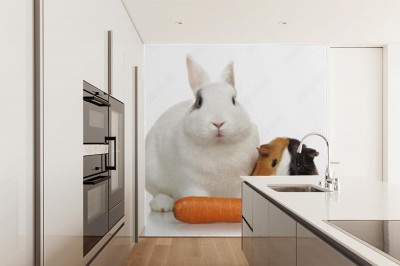 Fototapeta Wszyscy lubią marchewki