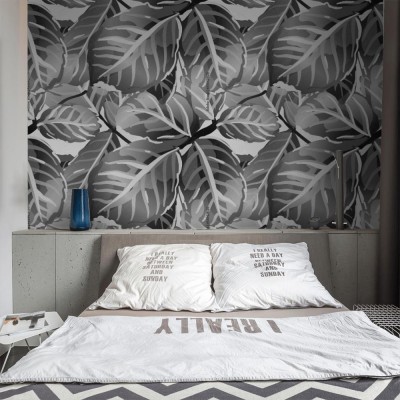 Tapeta Czarno-białe liście Monstery