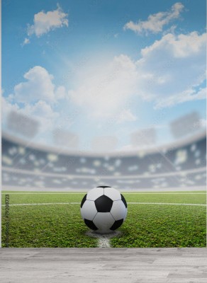 Fototapeta Stadion piłkarski i piłka