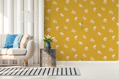 Tapeta Biała stokrotka na morelowym tle