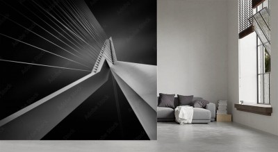 Fototapeta  Fragment mostu ErasmusBrug w Rotterdamie