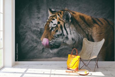 Fototapeta Język tygrysa