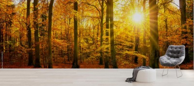 Fototapeta Złota panorama lasu jesienią