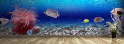 Fototapeta Podwodny świat - panorama