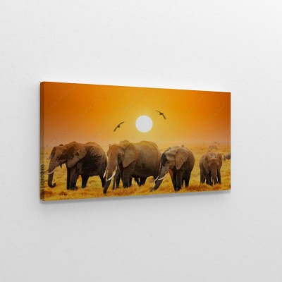 slonie-afrykanskie-w-parku-narodowym-amboseli-w-kenii