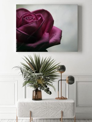 Obraz na płótnie Smutna róża