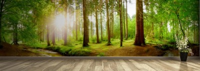 Fototapeta Panorama lasu na wiosnę z jasnym słońcem świecącym przez drzewa