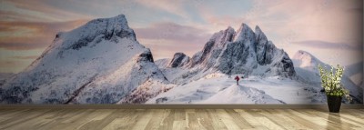 Fototapeta Panorama stromych szczytów gór pokrytych