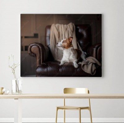 Obraz na płótnie Terrier w fotelu