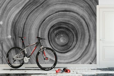 Fototapeta Czarno-białe tekstury drewna cięcia