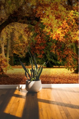 Fototapeta Jesienne dekoracje ze wspaniałym dębem