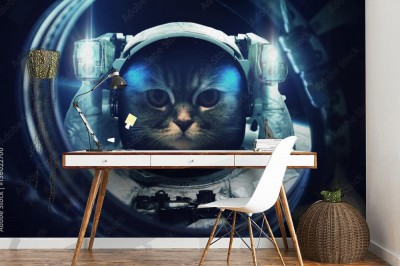 Fototapeta Kot w kosmosie