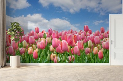 rozowe-tulipany-na-jasnym-zachmurzonym-niebie