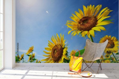 Fototapeta Słońce i słoneczniki