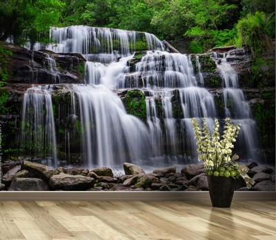 Fototapeta Wodospad w rezerwacie w Tasmanii