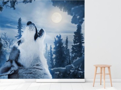 Fototapeta Wycie do księżyca