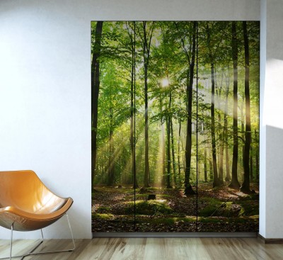 fotolia-57321532-subscription-monthly-l
