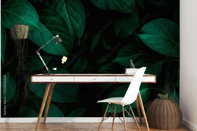 Fototapeta Abstrakcyjna tekstura liści tropikalnych w egzotycznym lesie