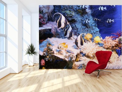 Fototapeta Ryby w morzu