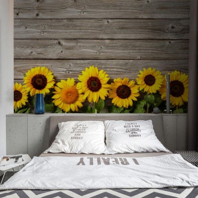 Fototapeta Tło ze słoneczników na desce