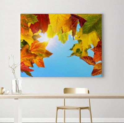 Obraz na płótnie Kolorowe jesienne liście i słońce na niebieskim niebie