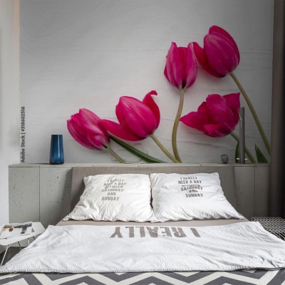 Fototapeta Bukiet różowych tulipanów na białym drewnianym tle