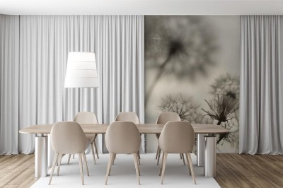 Fototapeta Cudowna lekkość mlecza