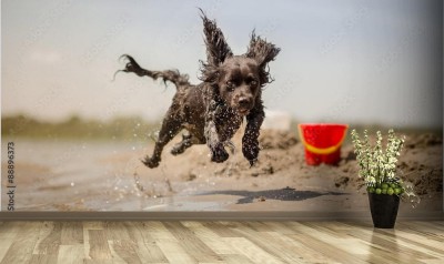 Fototapeta Pies biegnący na plaży
