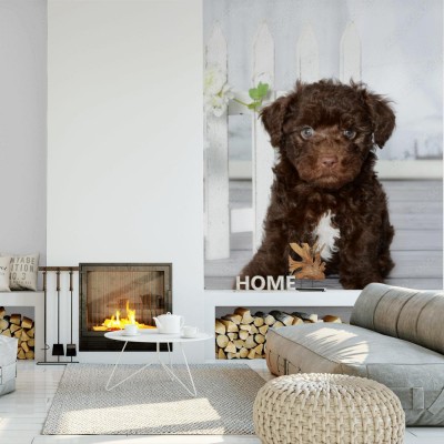 Fototapeta Piesek  przed małym ozdobnym płotem