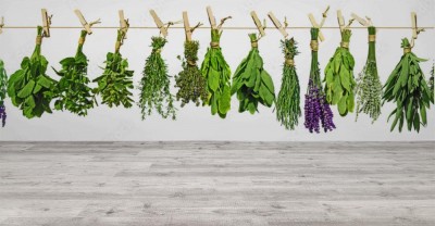 Fototapeta Suszone zioła na białym tle