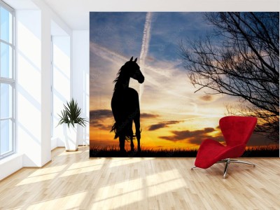 Fototapeta Sylwetka konia o zachodzie słońca