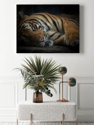 Obraz na płótnie Śpiący tygrys bengalski