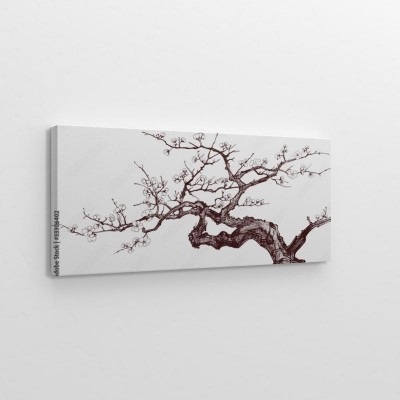 Obraz na płótnie Wiśniowe drzewo