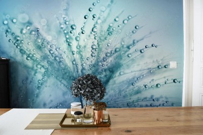 Fototapeta Nasiona mniszka lekarskiego w kroplach rosy na pięknym zamazanym tle