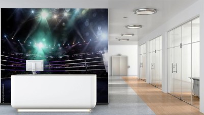 Fototapeta Pusta ringowa arena bokserska w świetle reflektorów