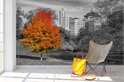 Fototapeta Żółto - pomarańczowe odcienie drzewa