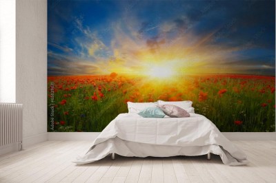 Fototapeta Kwiaty maku na polach