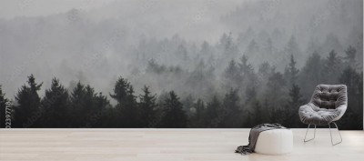 Fototapeta Mgła w lesie podczas deszczowej pogody