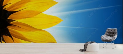 Fototapeta Słonecznikowy kwiat ze światłem słonecznym na nieba tle błękicie