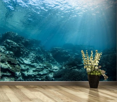 Fototapeta Światło na dnie morza
