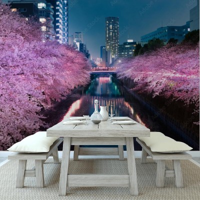 Fototapeta Meguro River Night Cherry Blossom
