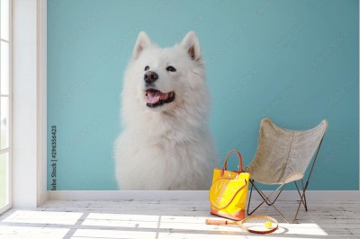 Fototapeta Śliczny pies na lazurowym tle tle