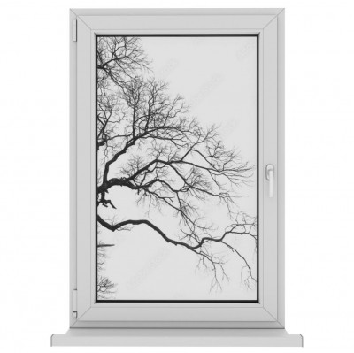 Folia na okno łazienkowe Rozłożysta gałąź drzewa na białym tle
