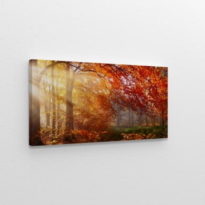 Obrazy do salonu Jesień w lesie, z promieniami światła we mgle i czerwonymi liśćmi