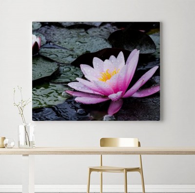 Obraz na płótnie Lilia wodna w stawie