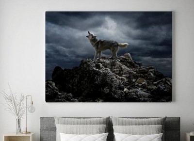 Obraz na płótnie Samotny wilk w nocy