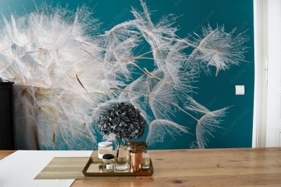 Fototapeta Odlatujemy, aby spełnić życzenia